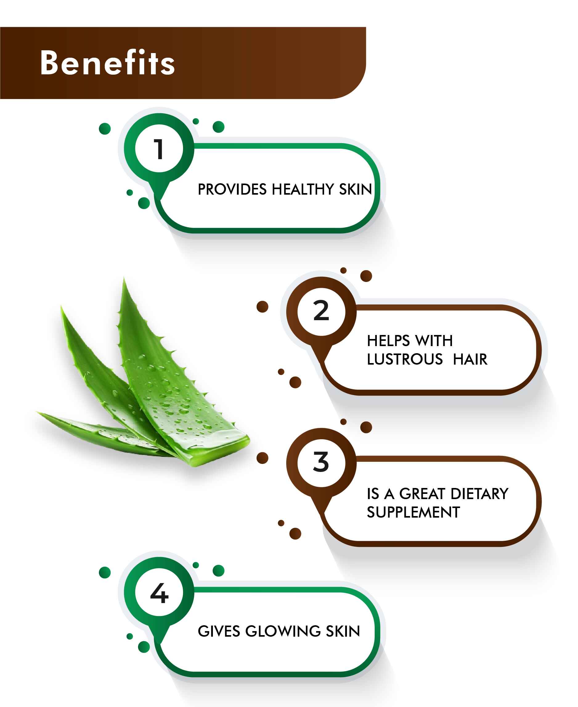 List of benefits with an aloe vera leaf on a white background