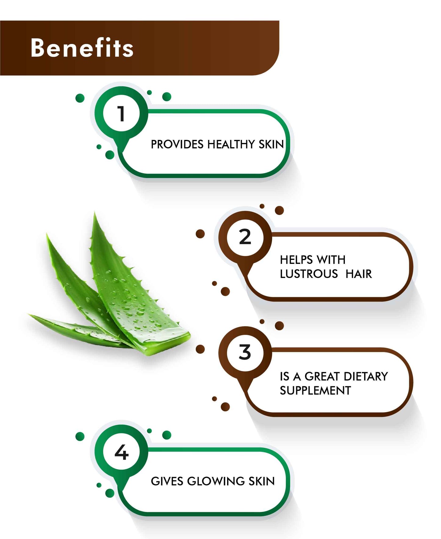 H&C Natural Aloe Vera Leaf Powder - 100gm