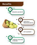 H&C Natural Amla Powder - 100gm - HNW GLOBAL