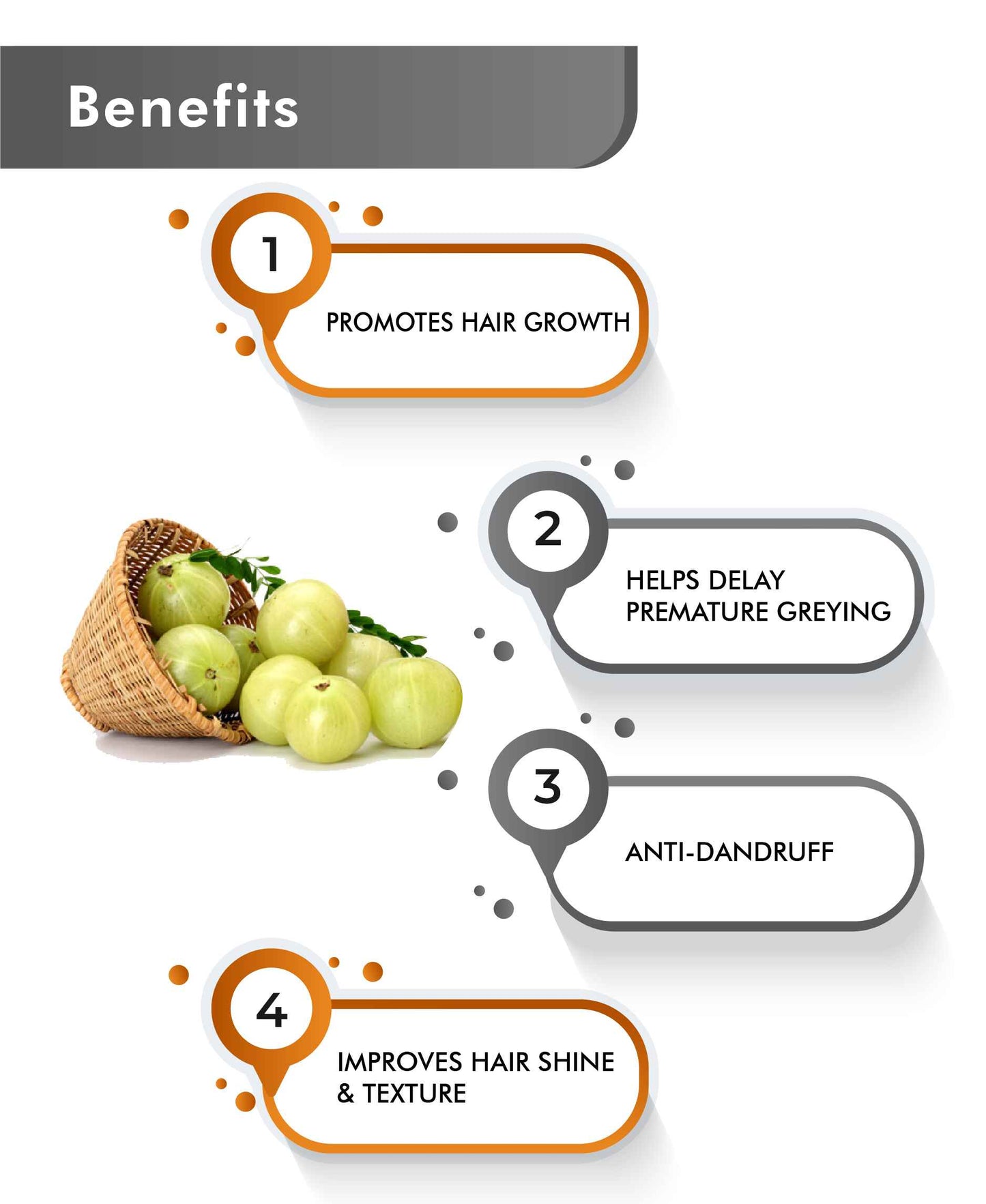 Just Jaivik Organic Amla Powder - 100gm - HNW GLOBAL