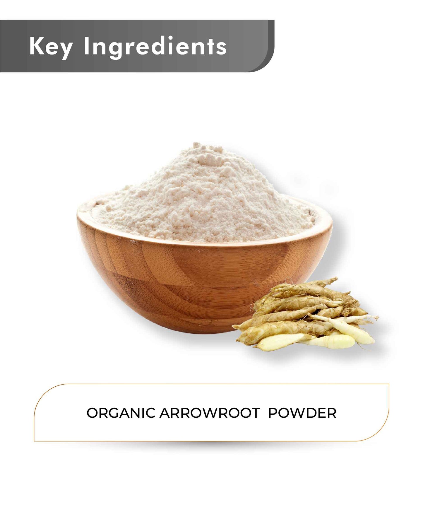 Just Jaivik Organic Arrowroot Powder - 100g - HNW GLOBAL