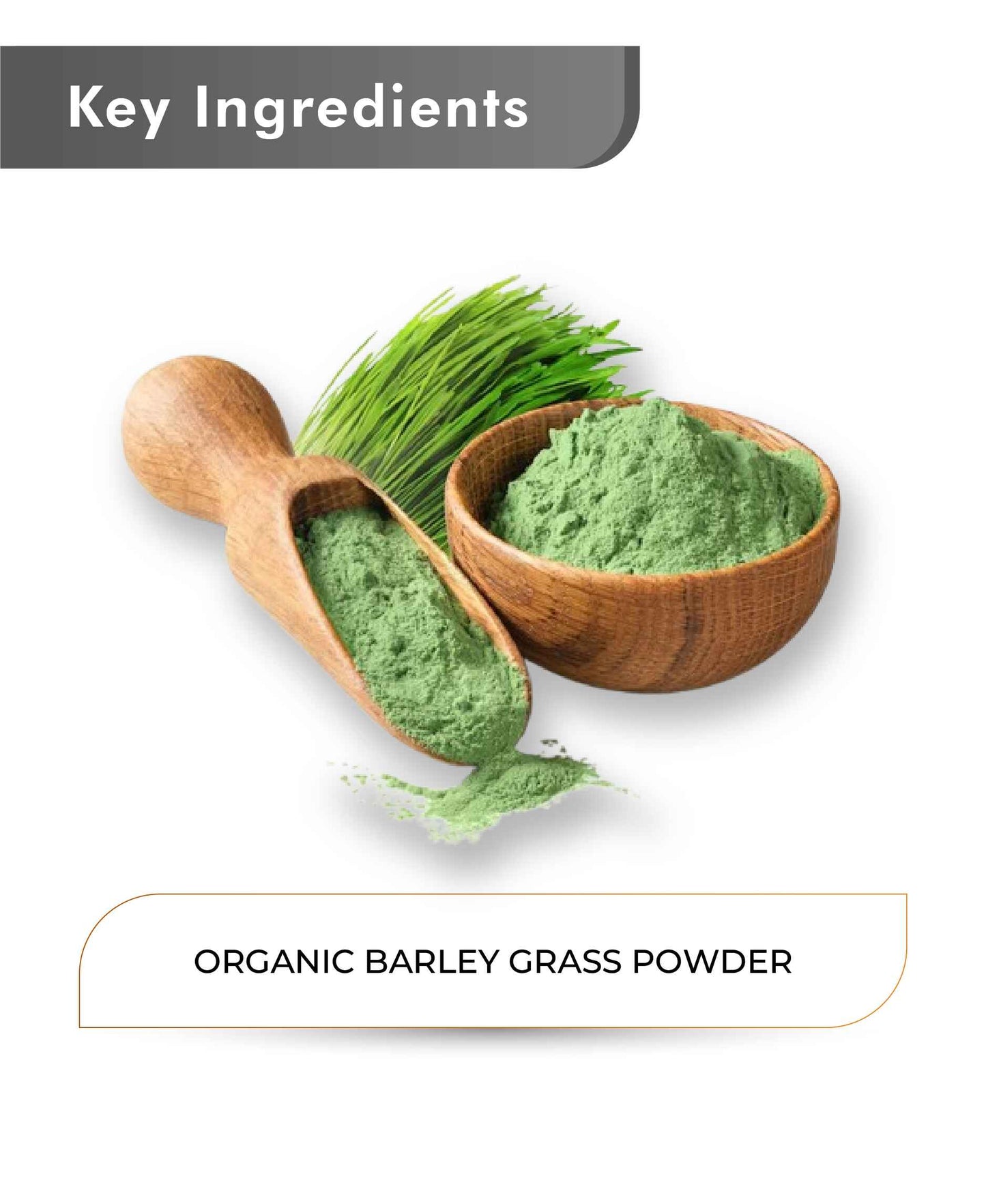 Just Jaivik Organic Barley Grass Powder - 100gm - HNW GLOBAL