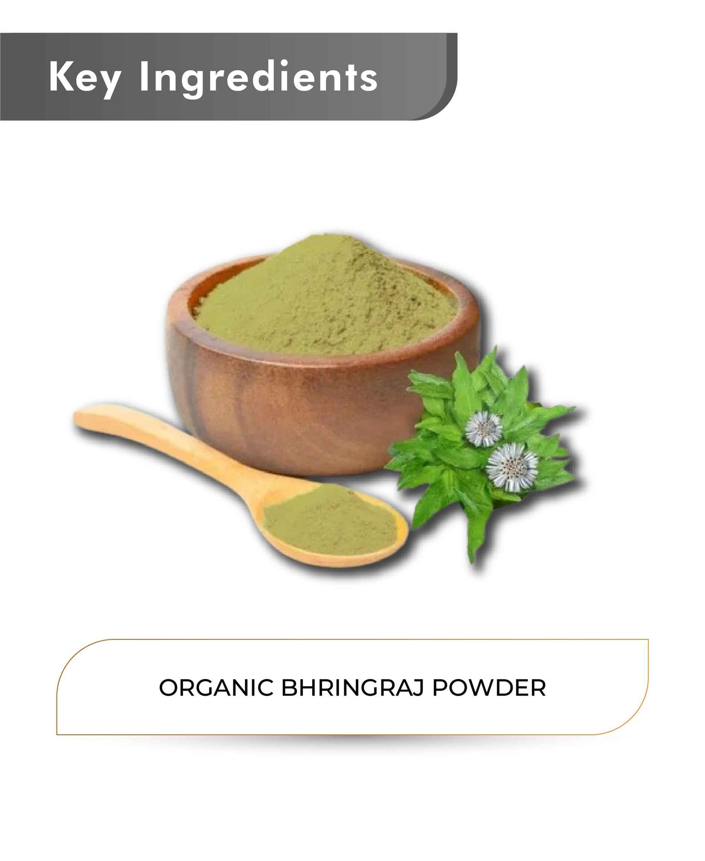 Just Jaivik Organic Bhringraj Powder - 100gm