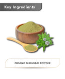 Just Jaivik Organic Bhringraj Powder - 100gm - HNW GLOBAL