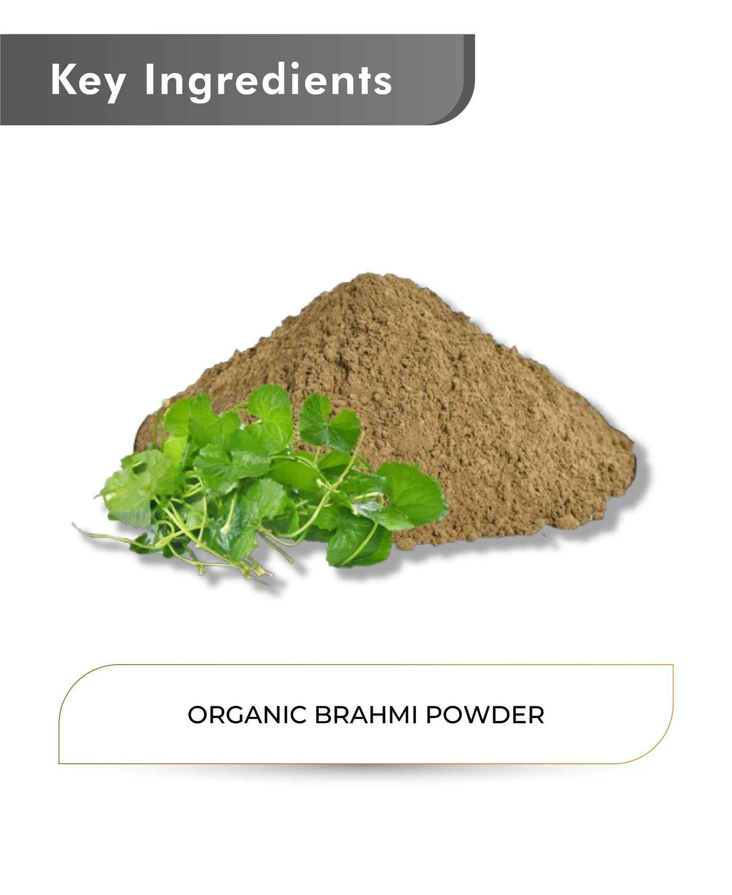 Just Jaivik Organic Brahmi Powder - 100gm - HNW GLOBAL
