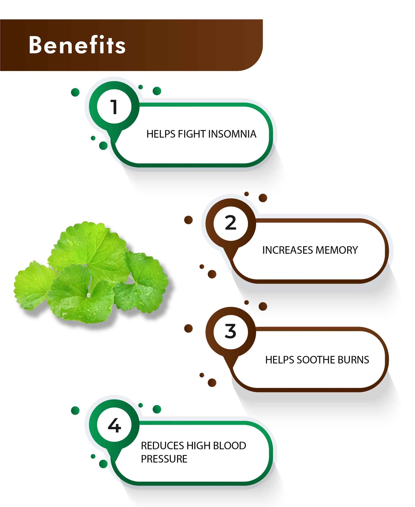 H&C Natural Brahmi Powder - 100gm - HNW GLOBAL