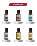 Korus Essential Citrus Essential Oil - 15ml - HNW GLOBAL