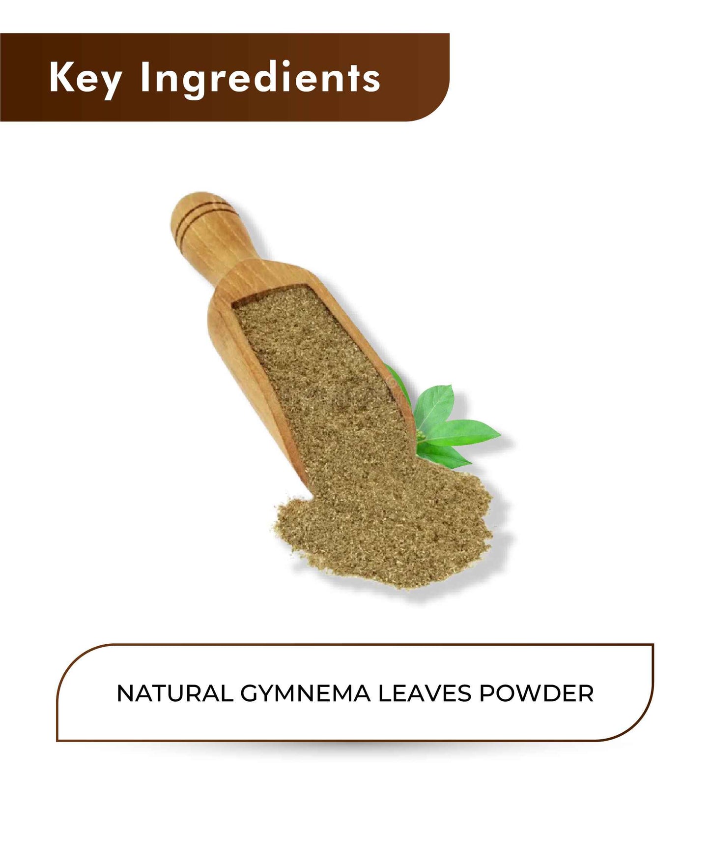 H&C Natural Gymnema Leaves Powder - 100gm
