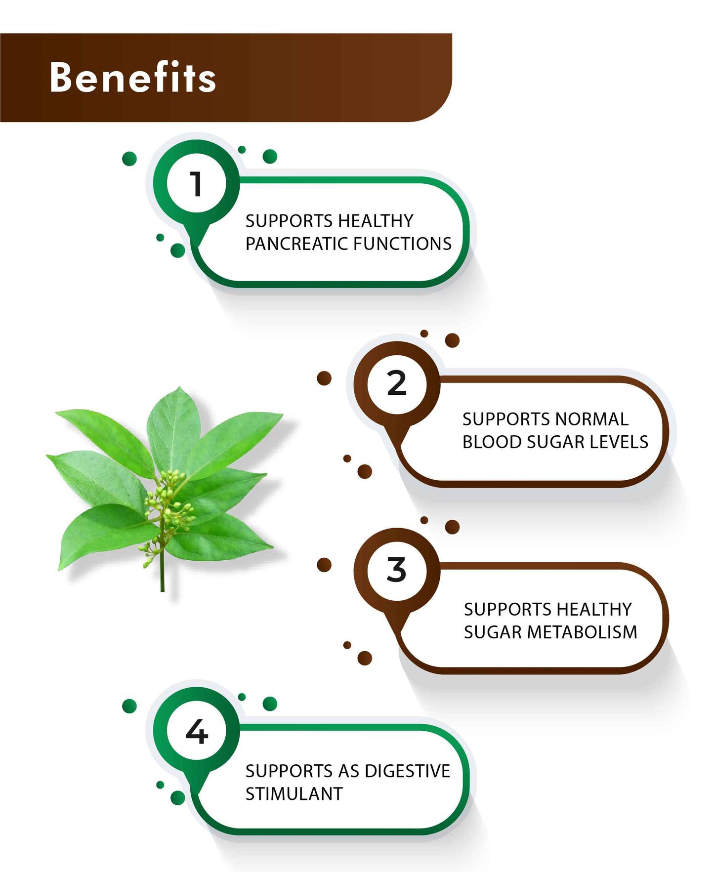 H&C Natural Gymnema Leaves Powder - 100gm
