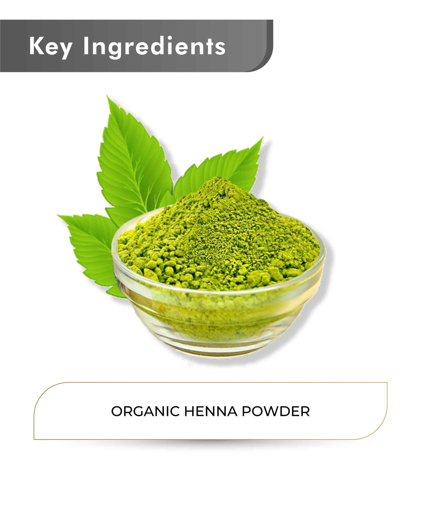 Just Jaivik Organic Henna Powder - 100gm