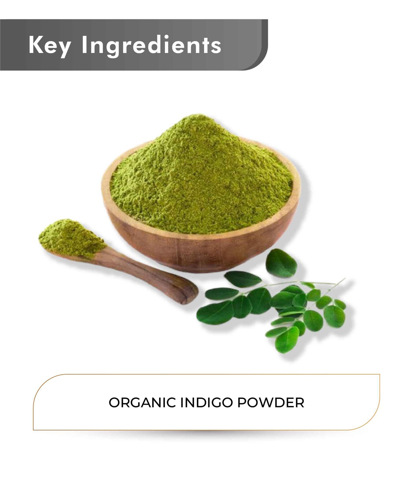 Just Jaivik Organic Indigo Powder - 100gm