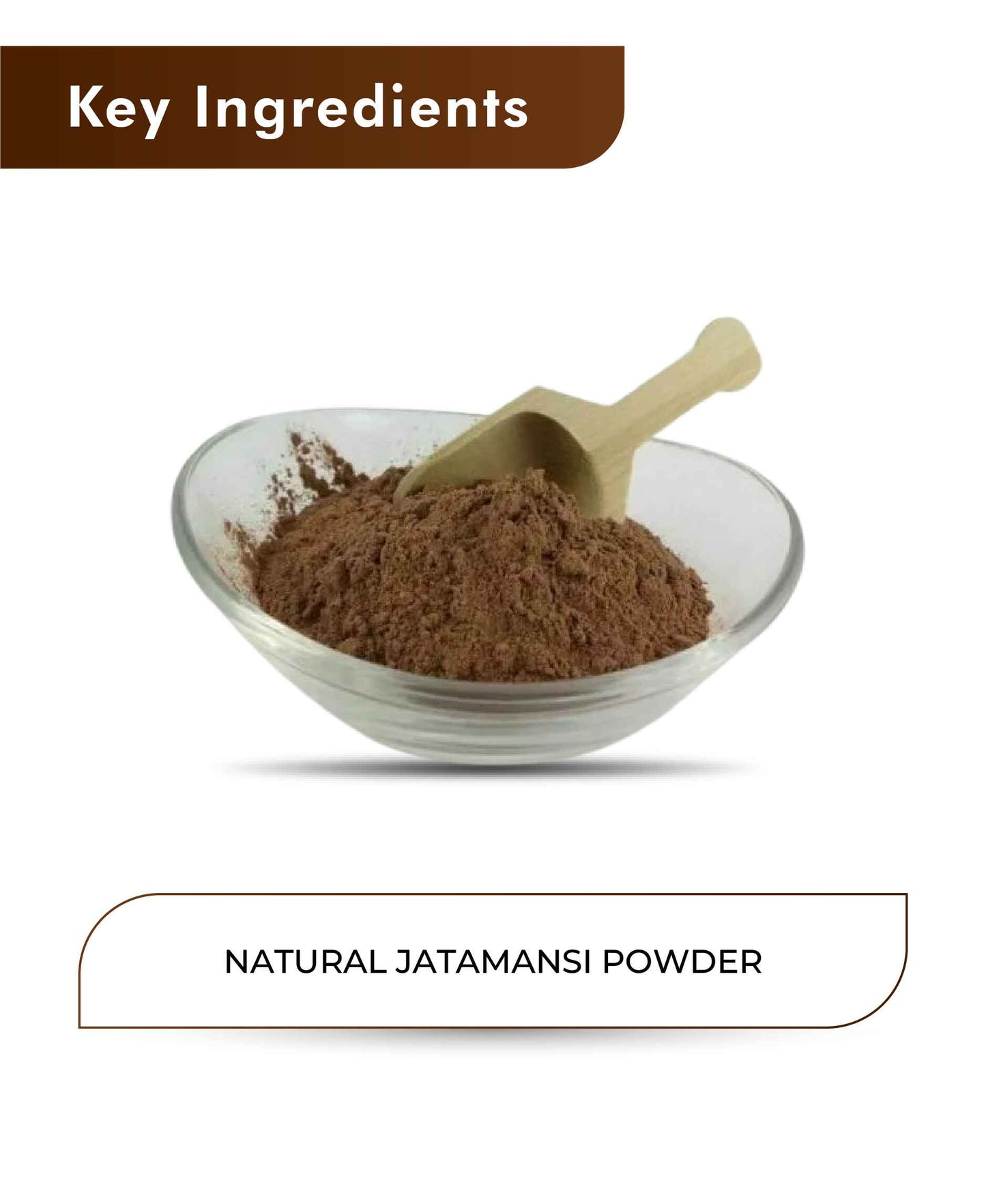 H&C Natural Jatamansi Powder - 100gm - HNW GLOBAL