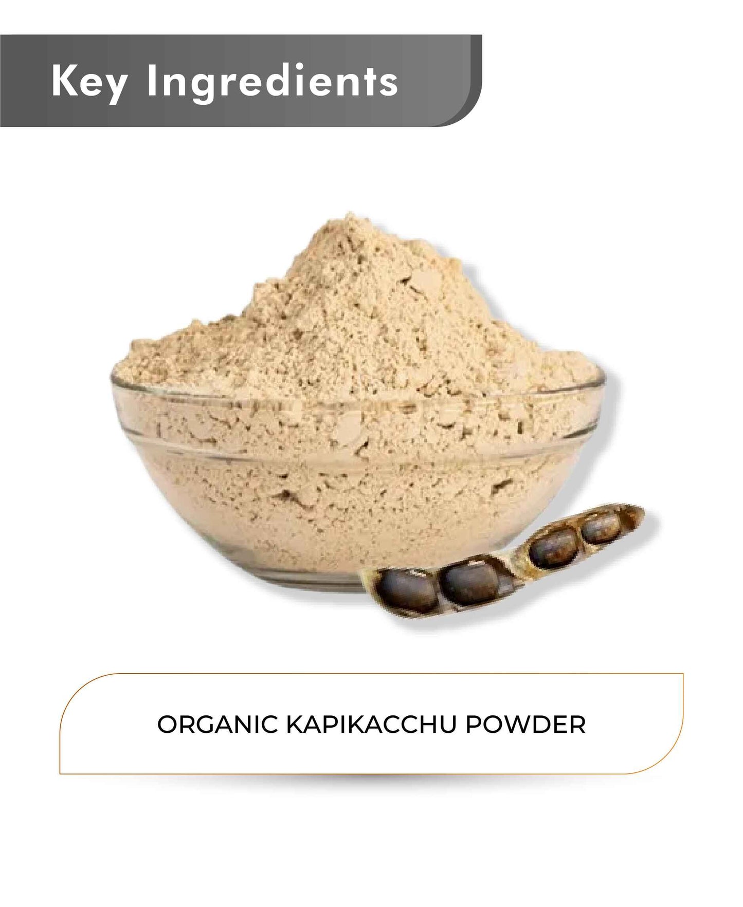 Just Jaivik Organic Kapikacchu Powder - 100gm - HNW GLOBAL