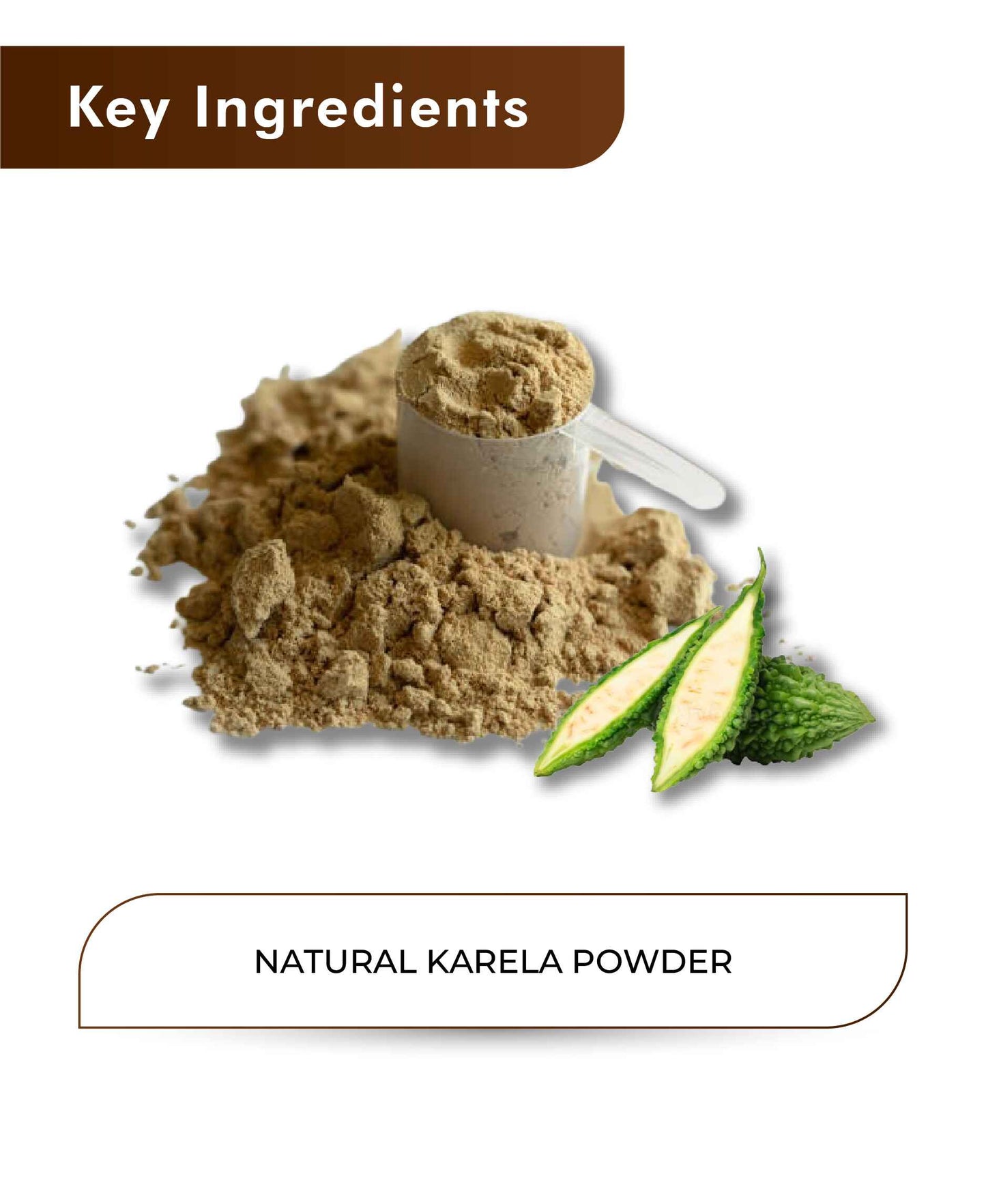 H&C Natural Karela Powder - 100gm - HNW GLOBAL