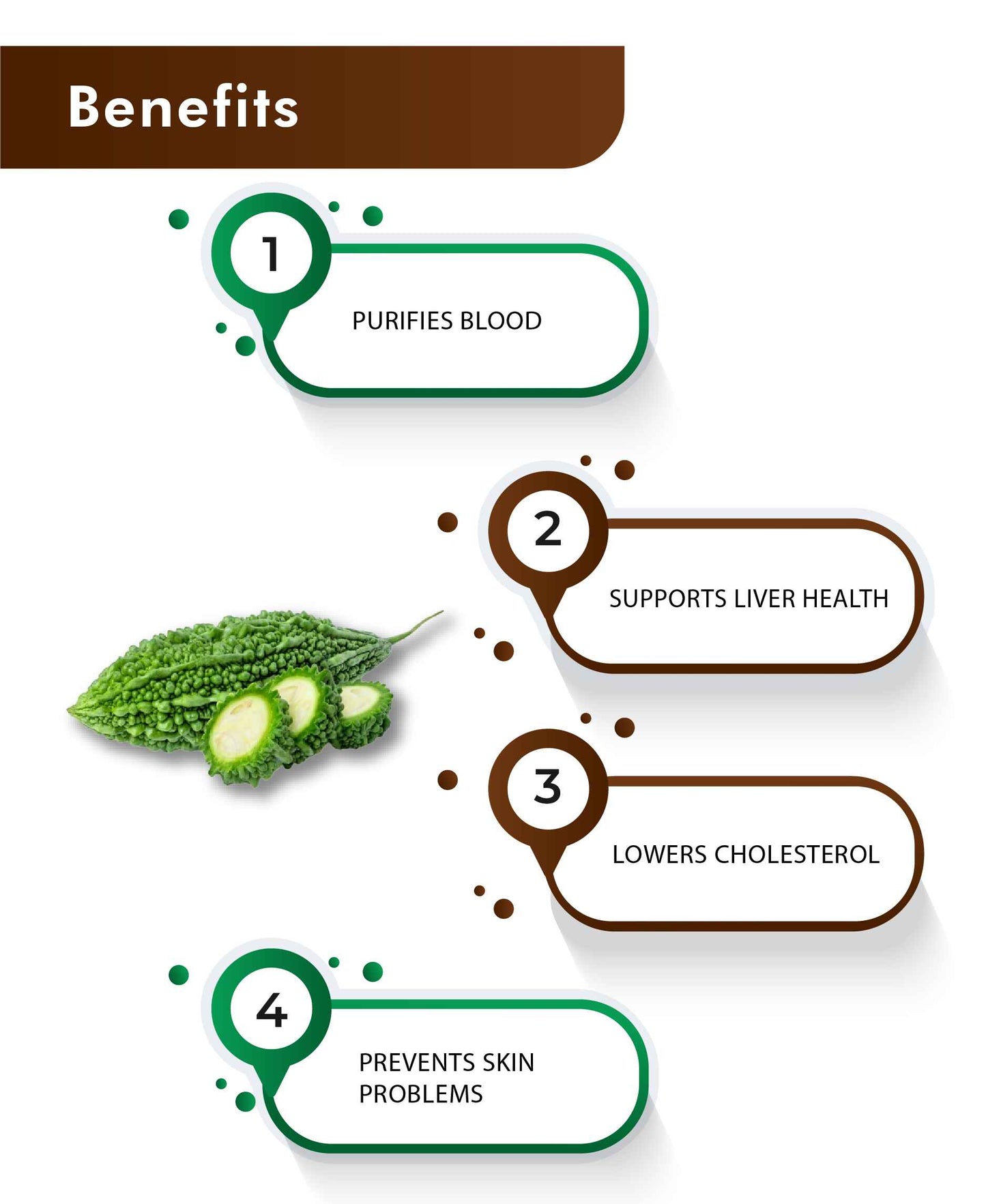 H&C Natural Karela Powder - 100gm - HNW GLOBAL