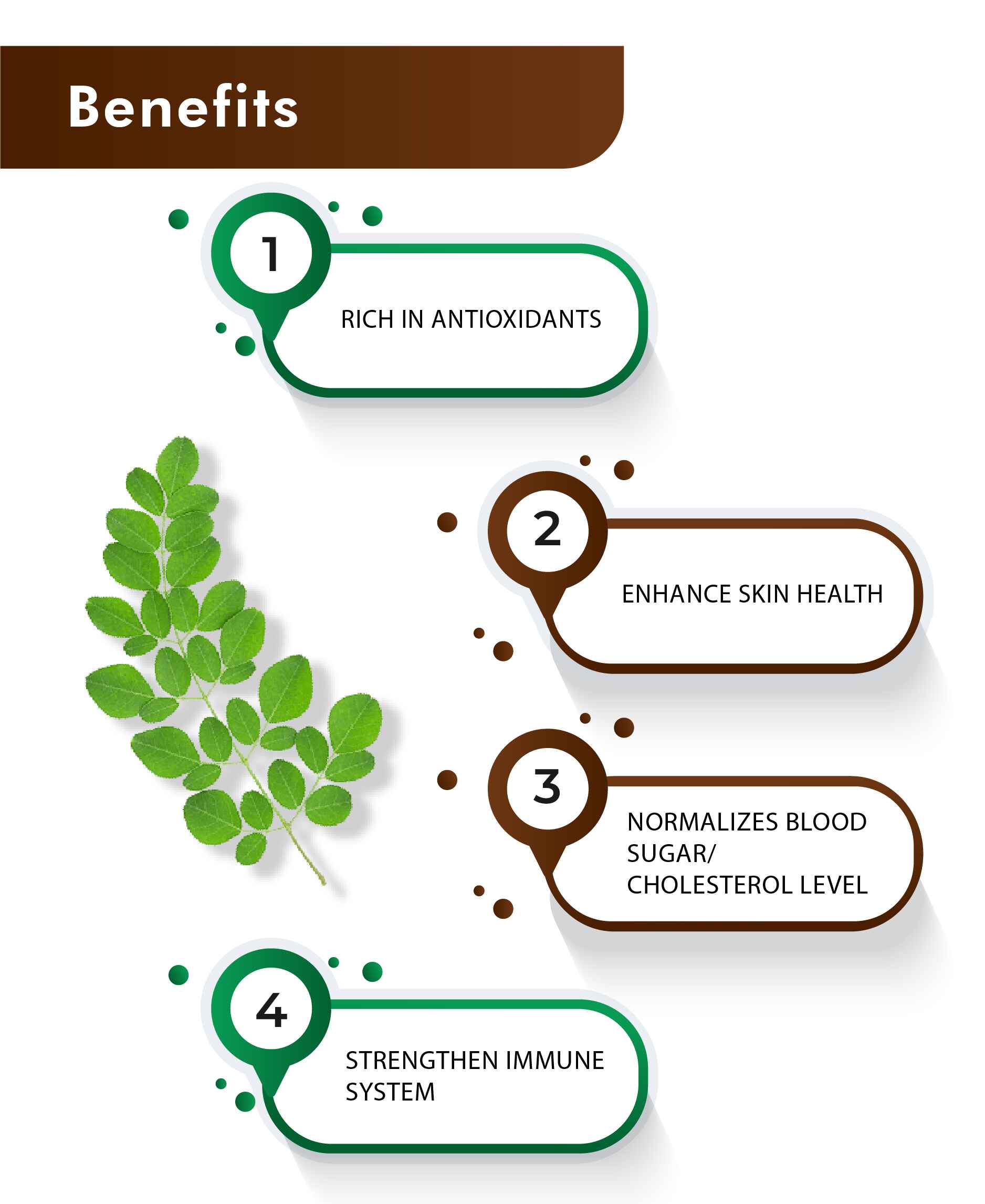 H&C Moringa Tablet - 350mg , 60 Count - HNW GLOBAL