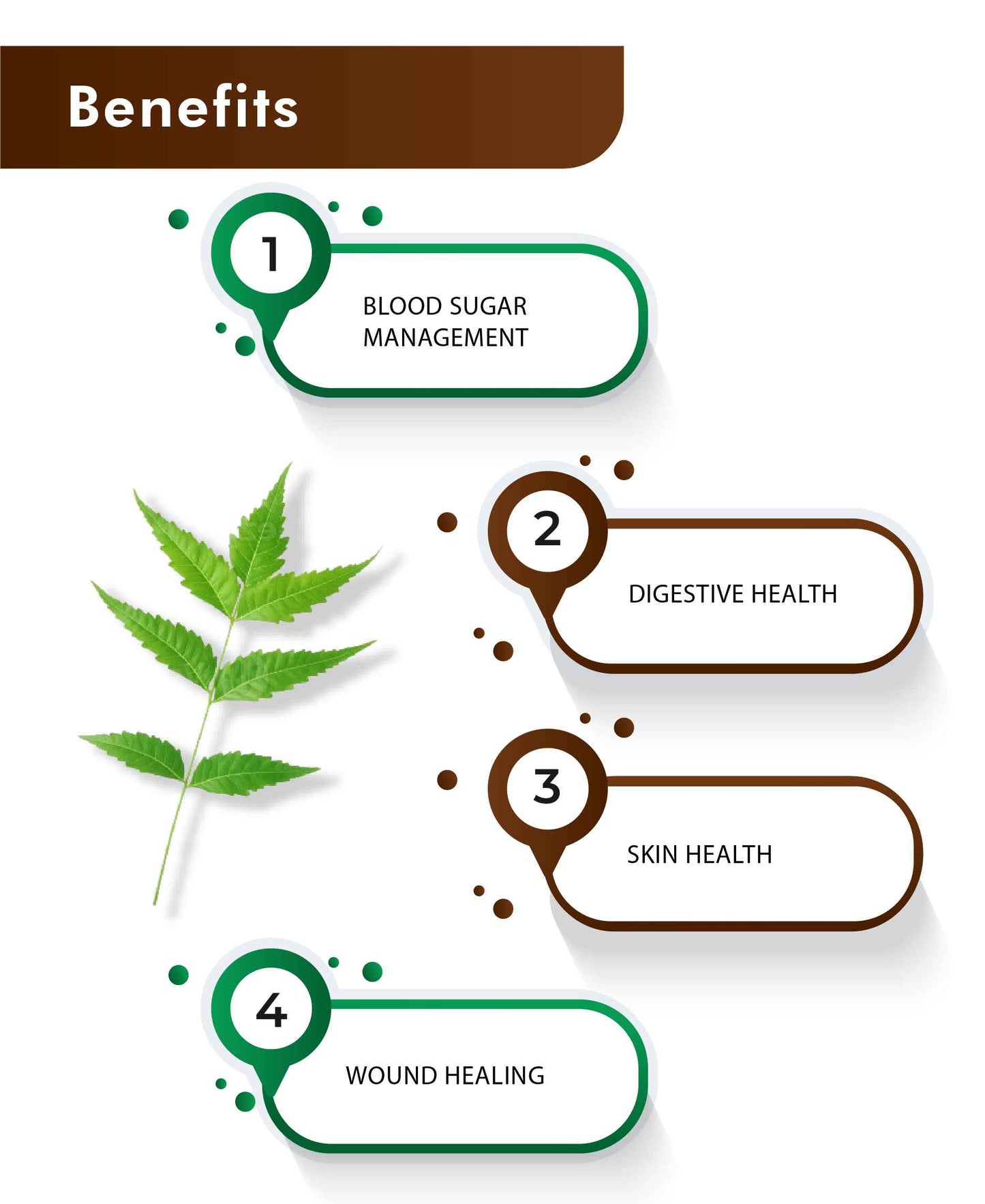 H&C Natural Neem Leaves Powder / Azadirachta Indica - 100gm