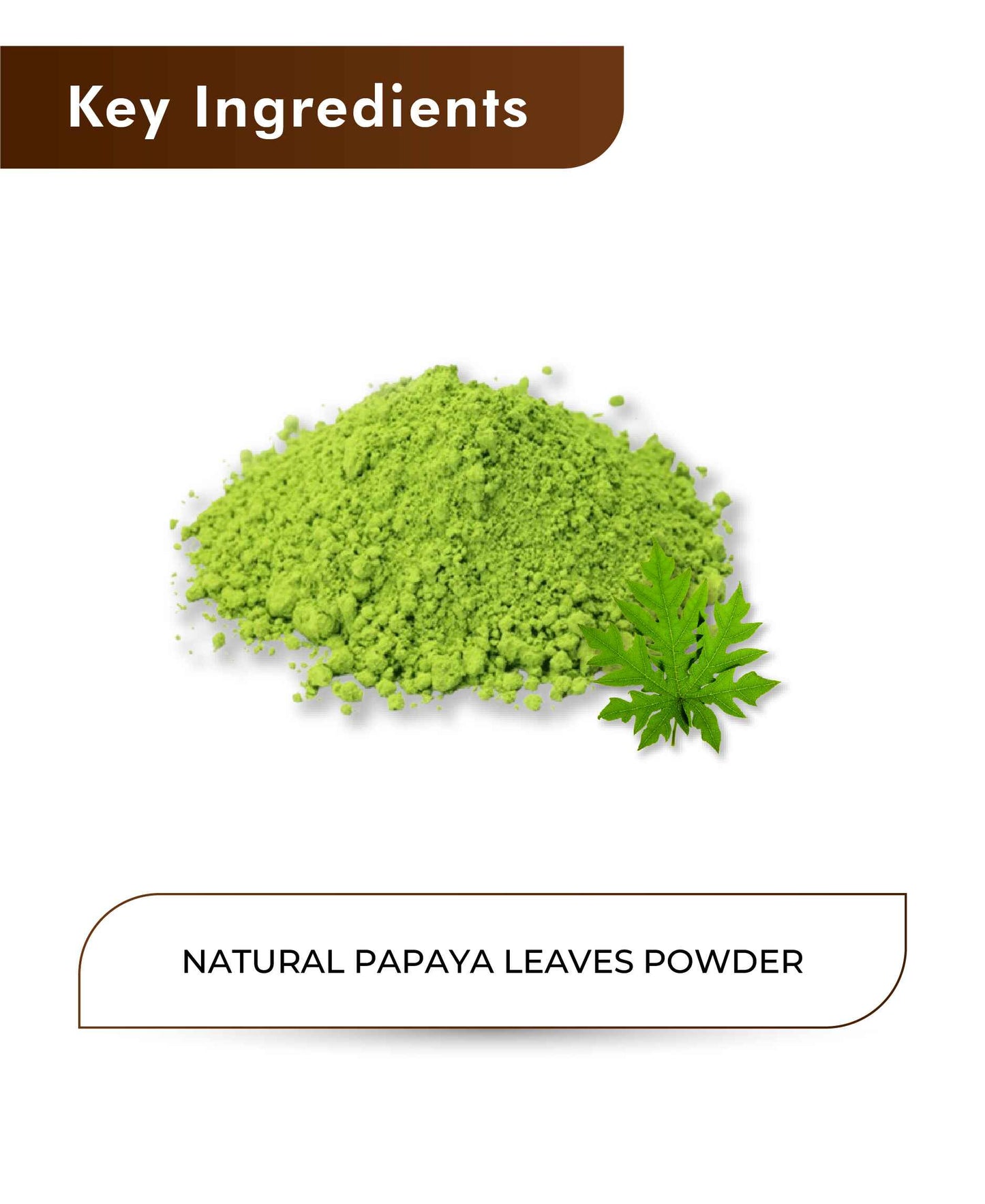 H&C Natural Papaya Leaves Powder- 100gm - HNW GLOBAL