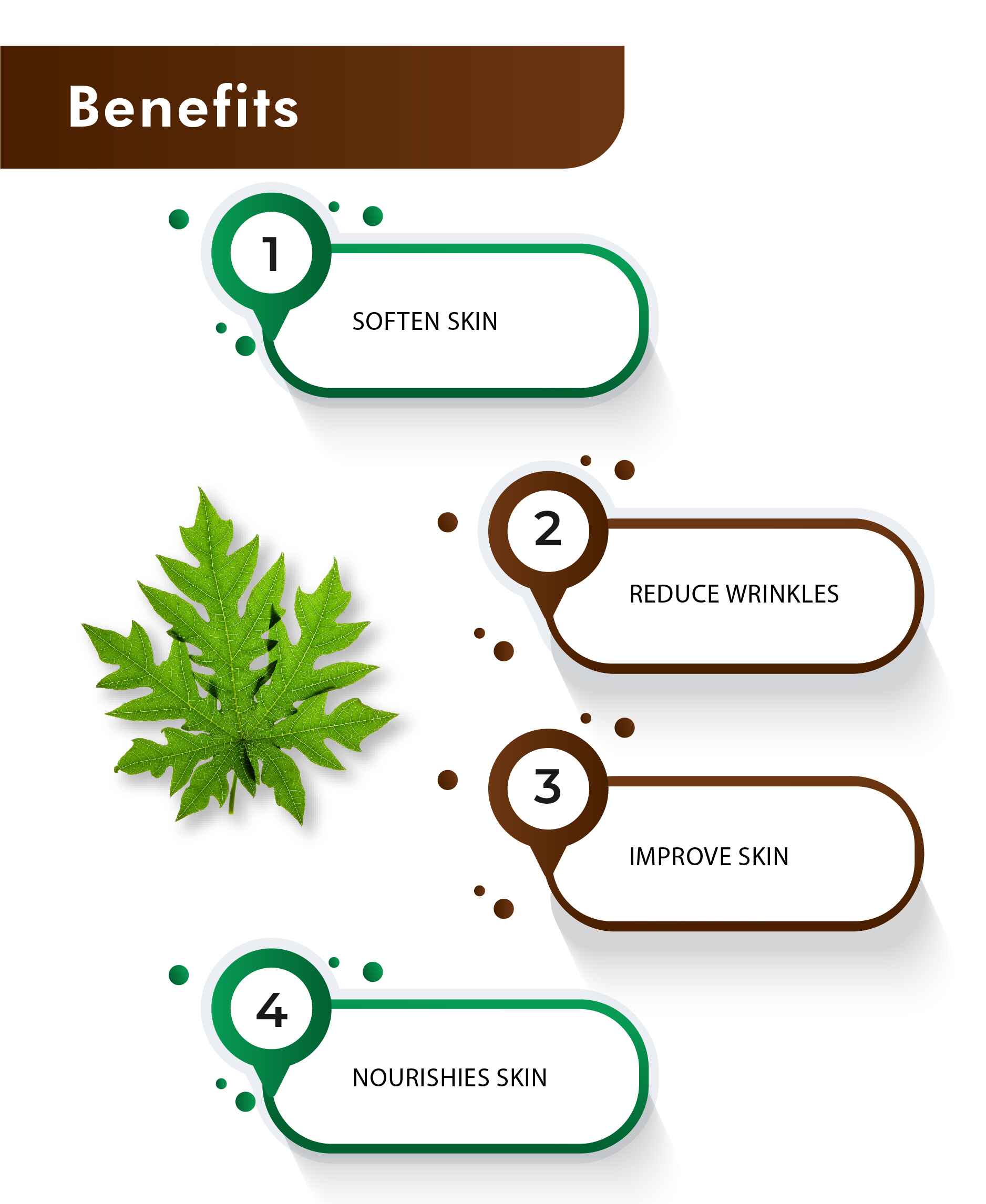 H&C Papaya Leaves Tablet - 350mg , 60 Count - HNW GLOBAL