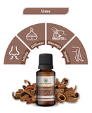 Korus Essential Rosewood Essential Oil - 15ml - HNW GLOBAL