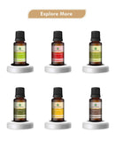 Korus Essential Sandalwood Essential Oil - 15ml - HNW GLOBAL