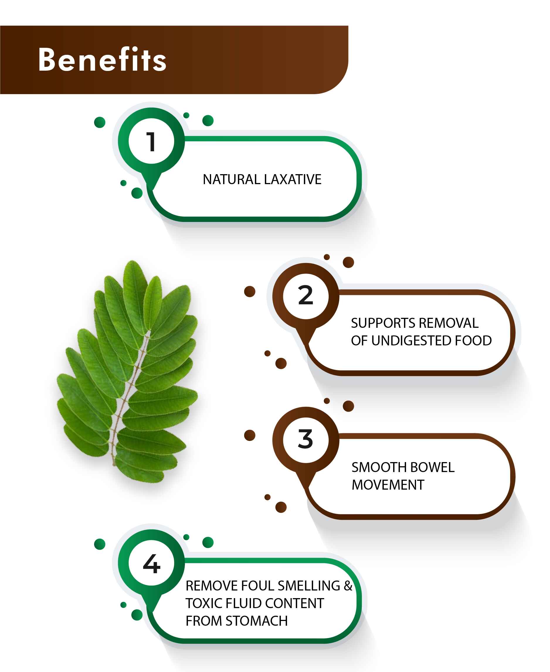 H&C Senna Tablet - 350mg , 60 Count - HNW GLOBAL