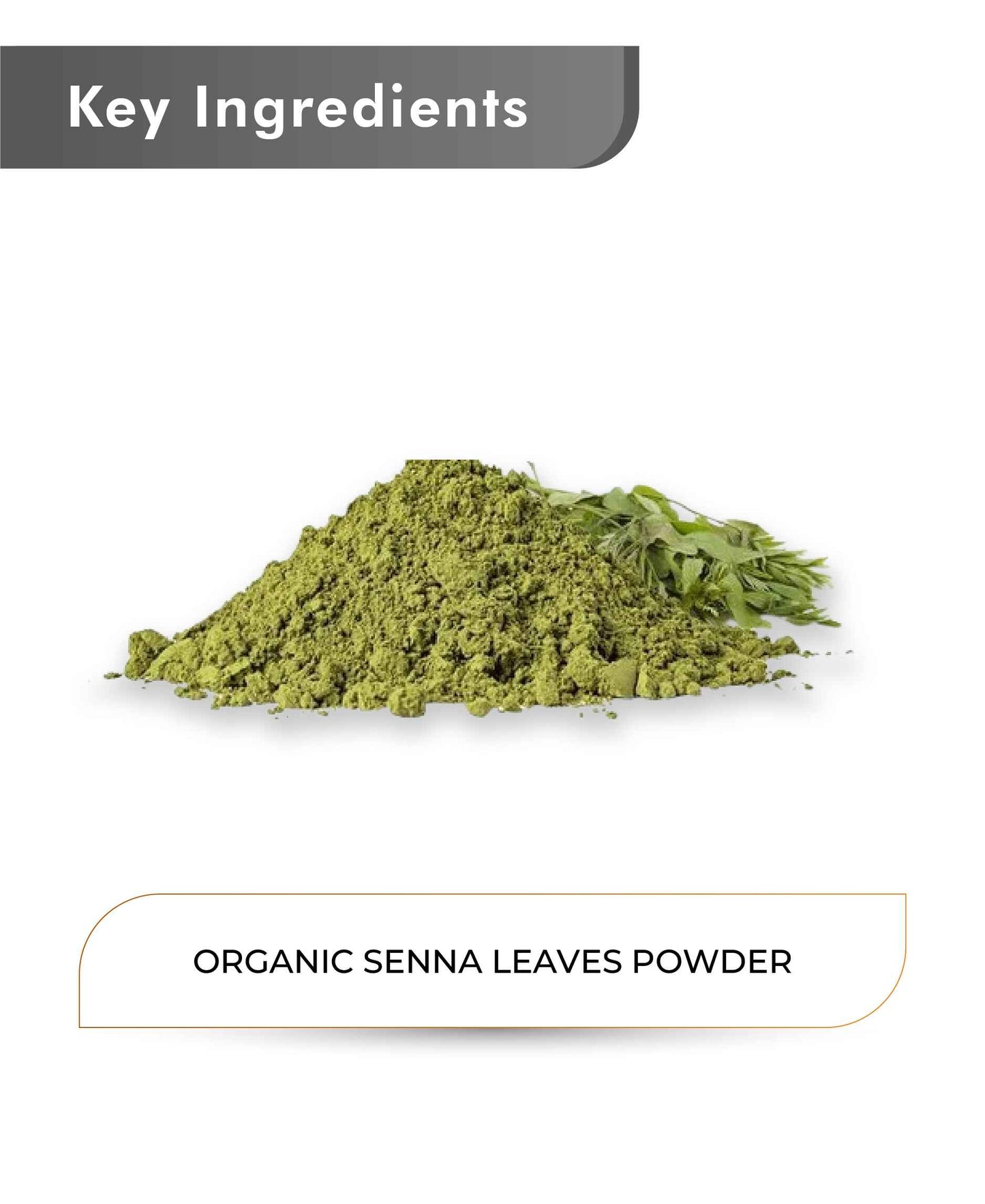 Just Jaivik Organic Senna Leaves Powder - 100gm