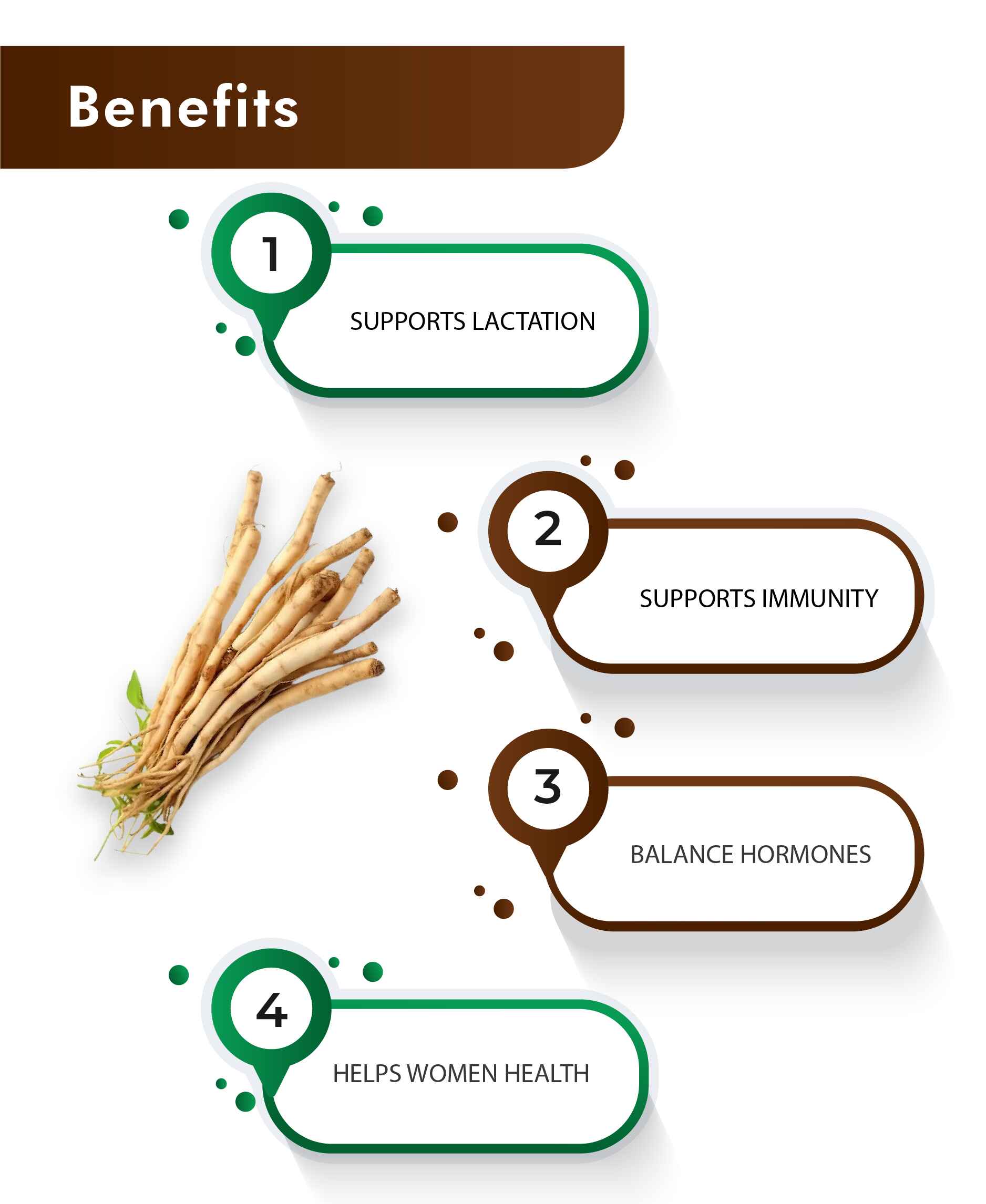 H&C Shatavari Tablet - 350mg , 60 Count - HNW GLOBAL