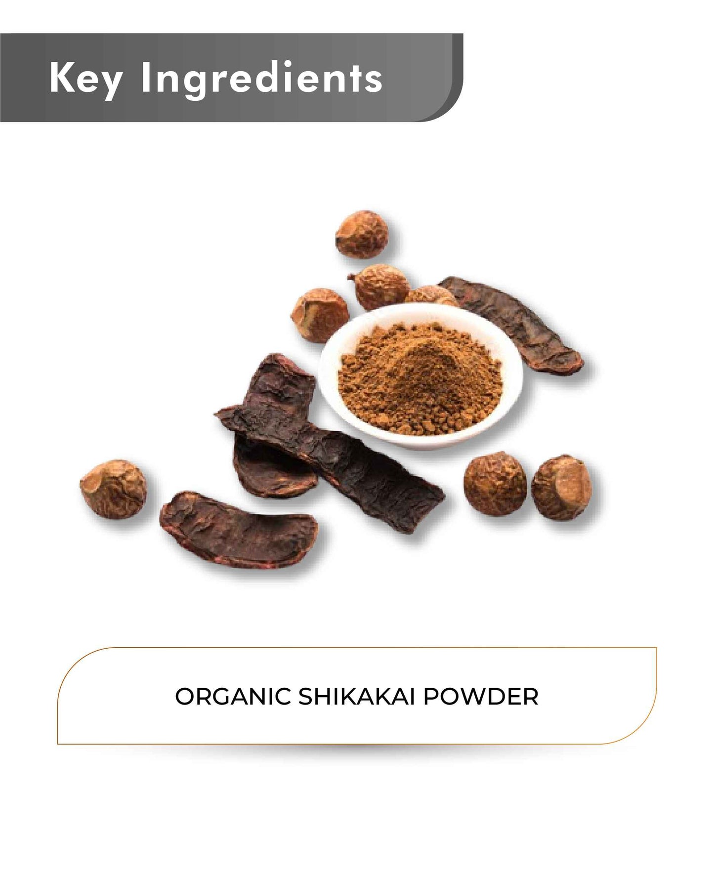 Just Jaivik Organic Shikakai Powder - 100gm