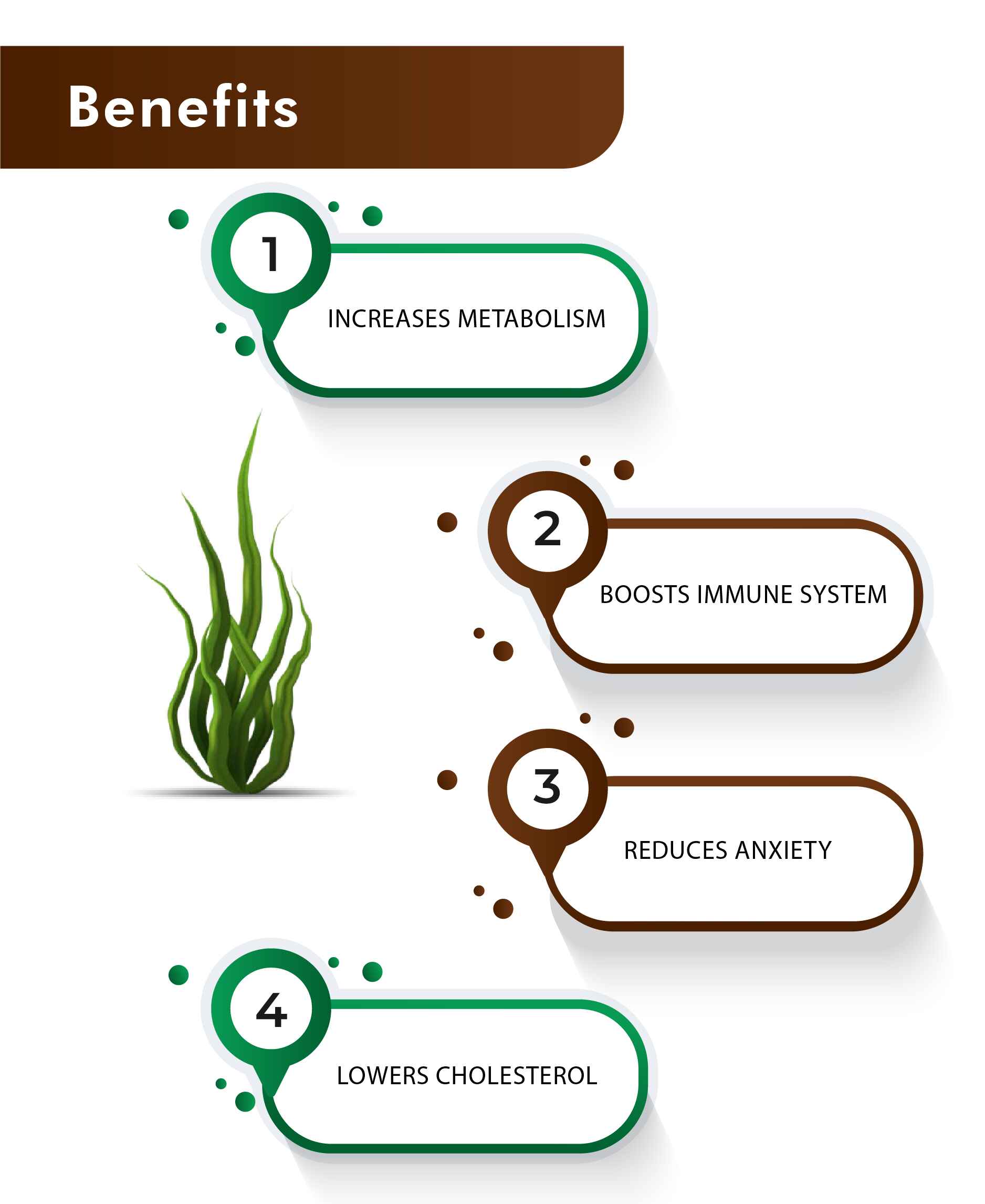 H&C Spirulina Tablet - 350mg , 60 Count - HNW GLOBAL