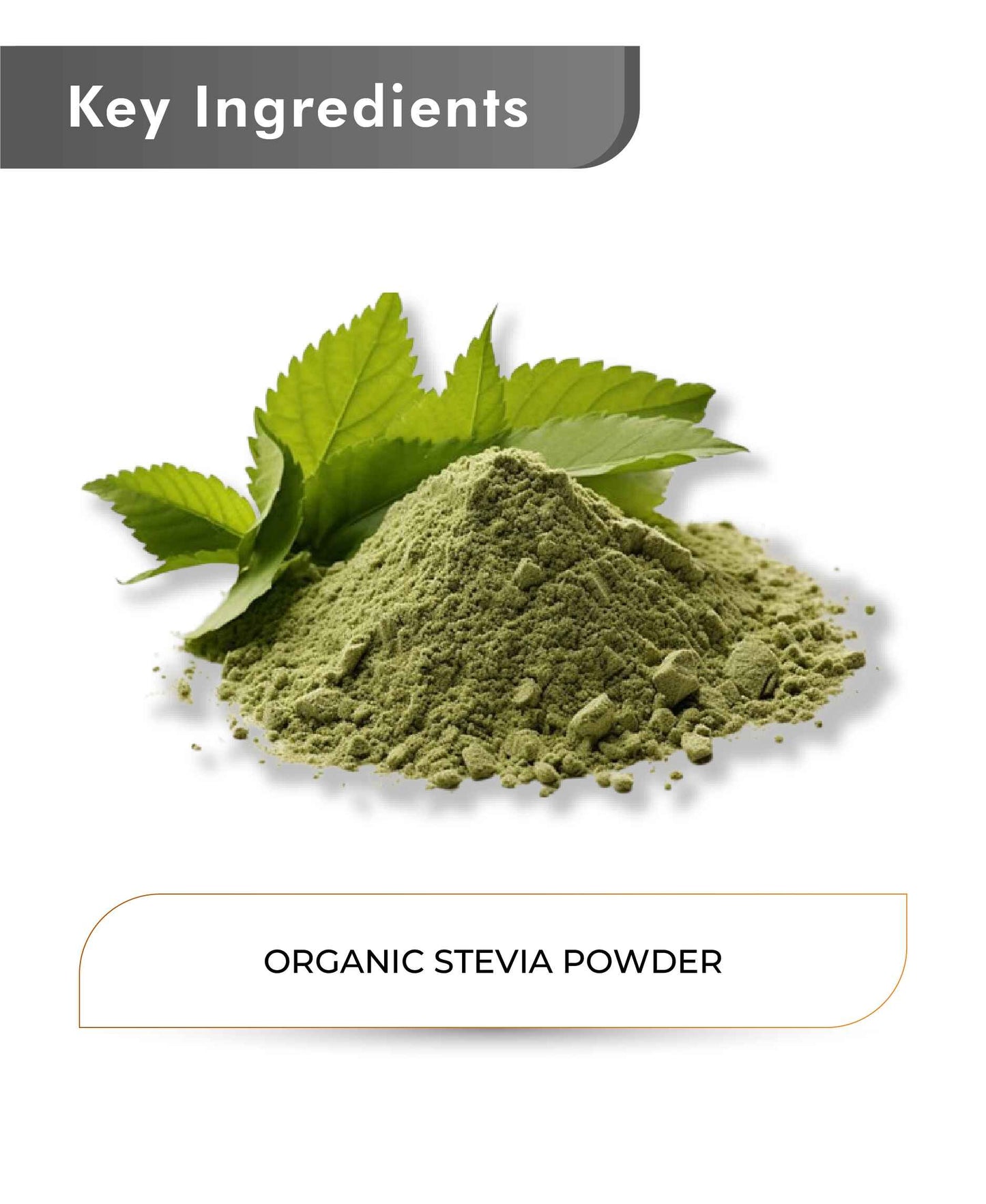 Just Jaivik Organic Stevia Powder - 100gm