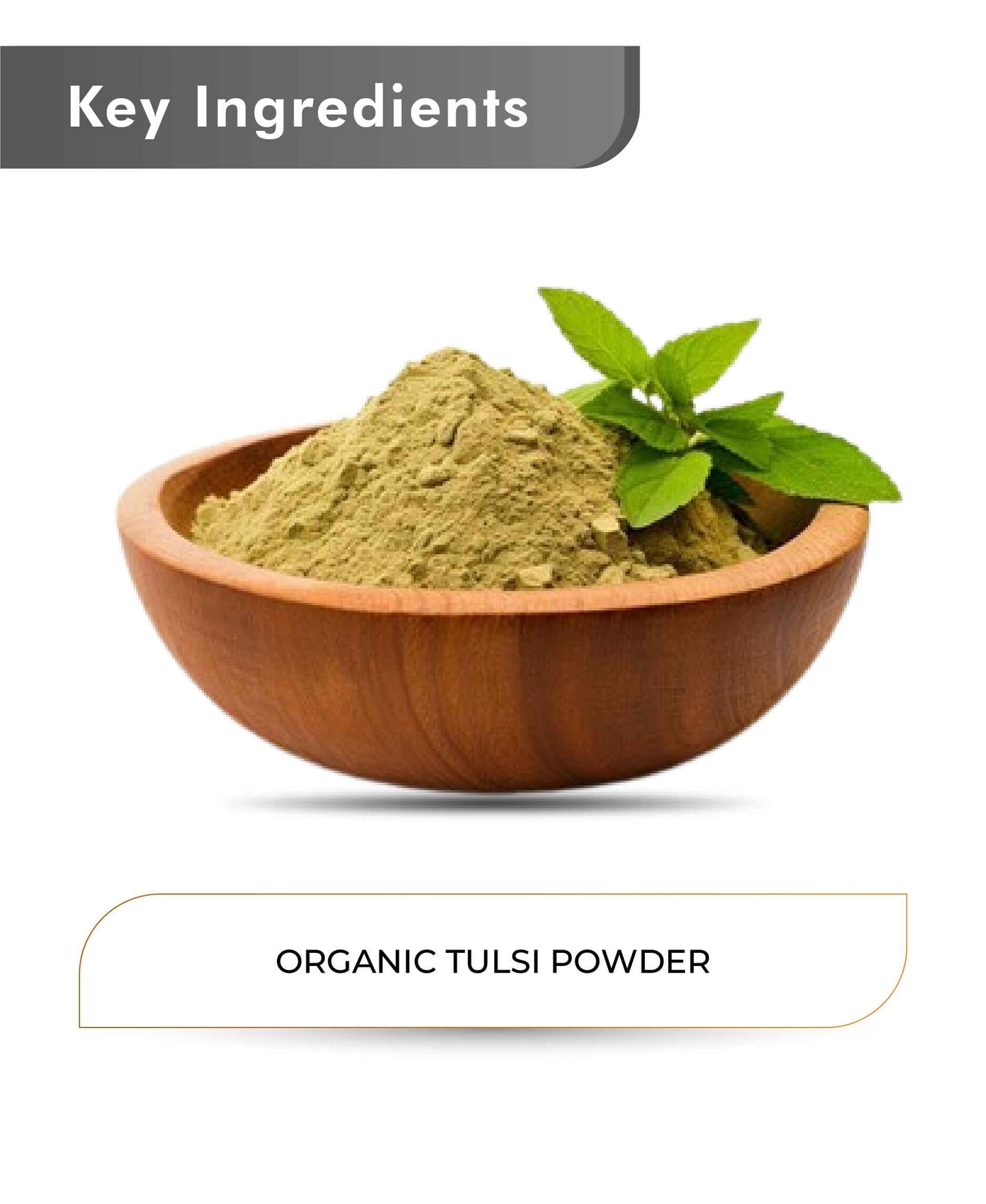 Just Jaivik Organic Tulsi Powder - 100gm