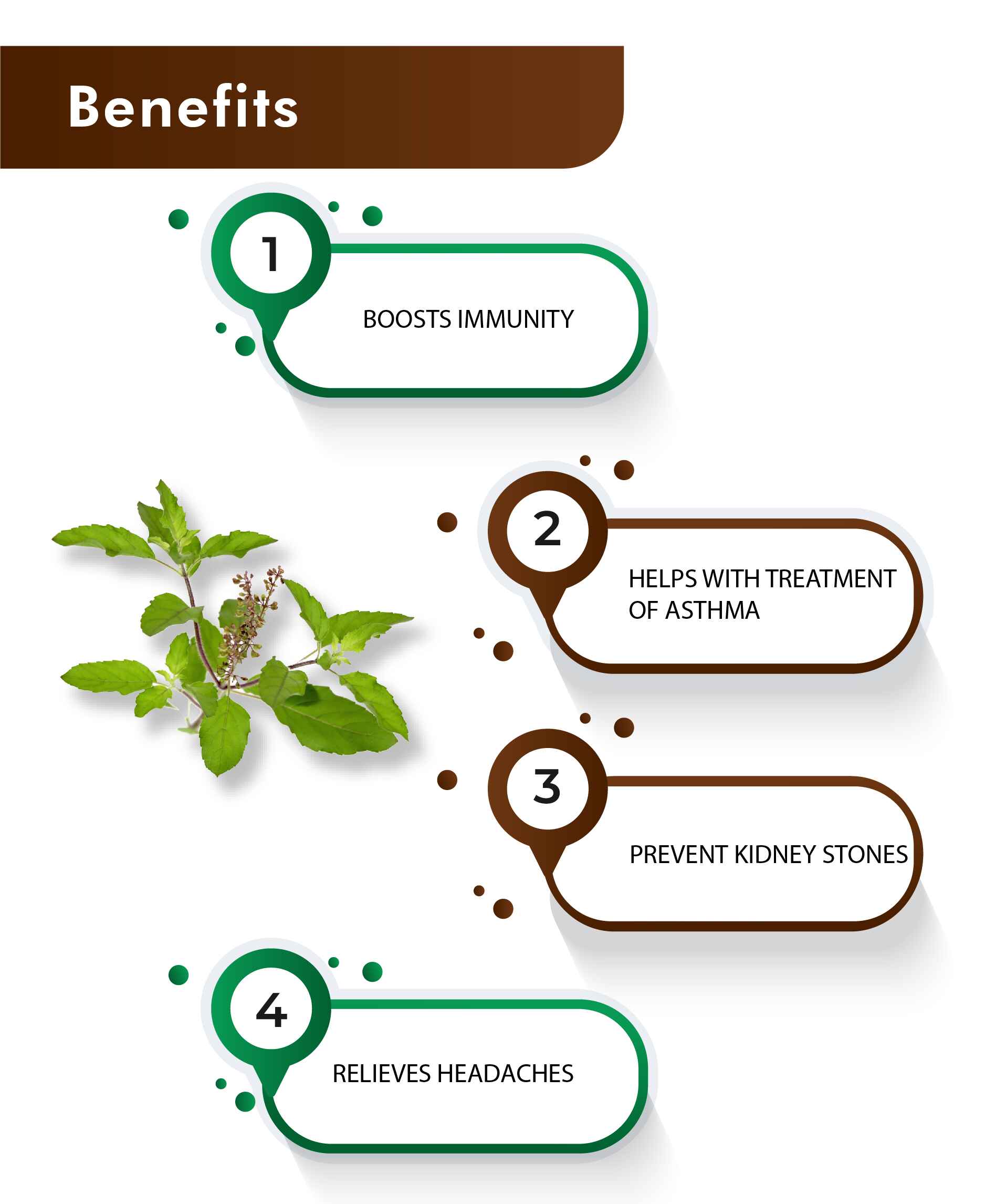 H&C Tulsi Tablet - 350mg , 60 Count - HNW GLOBAL