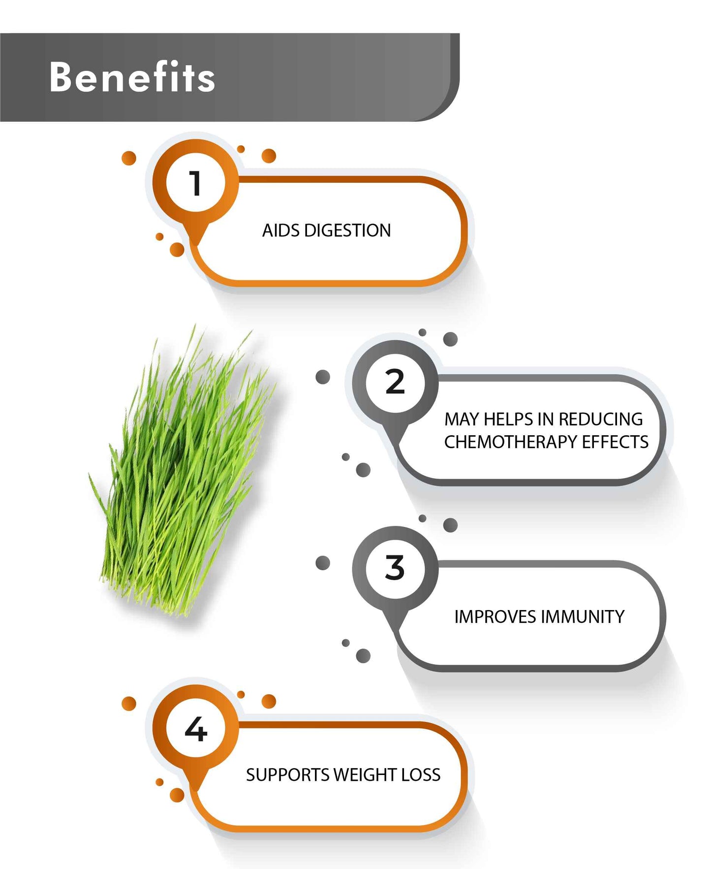 Just Jaivik Organic Wheatgrass Powder - 100gm