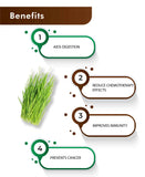 H&C Natural Wheatgrass Powder / Triticum Aestivum - 100gm - HNW GLOBAL