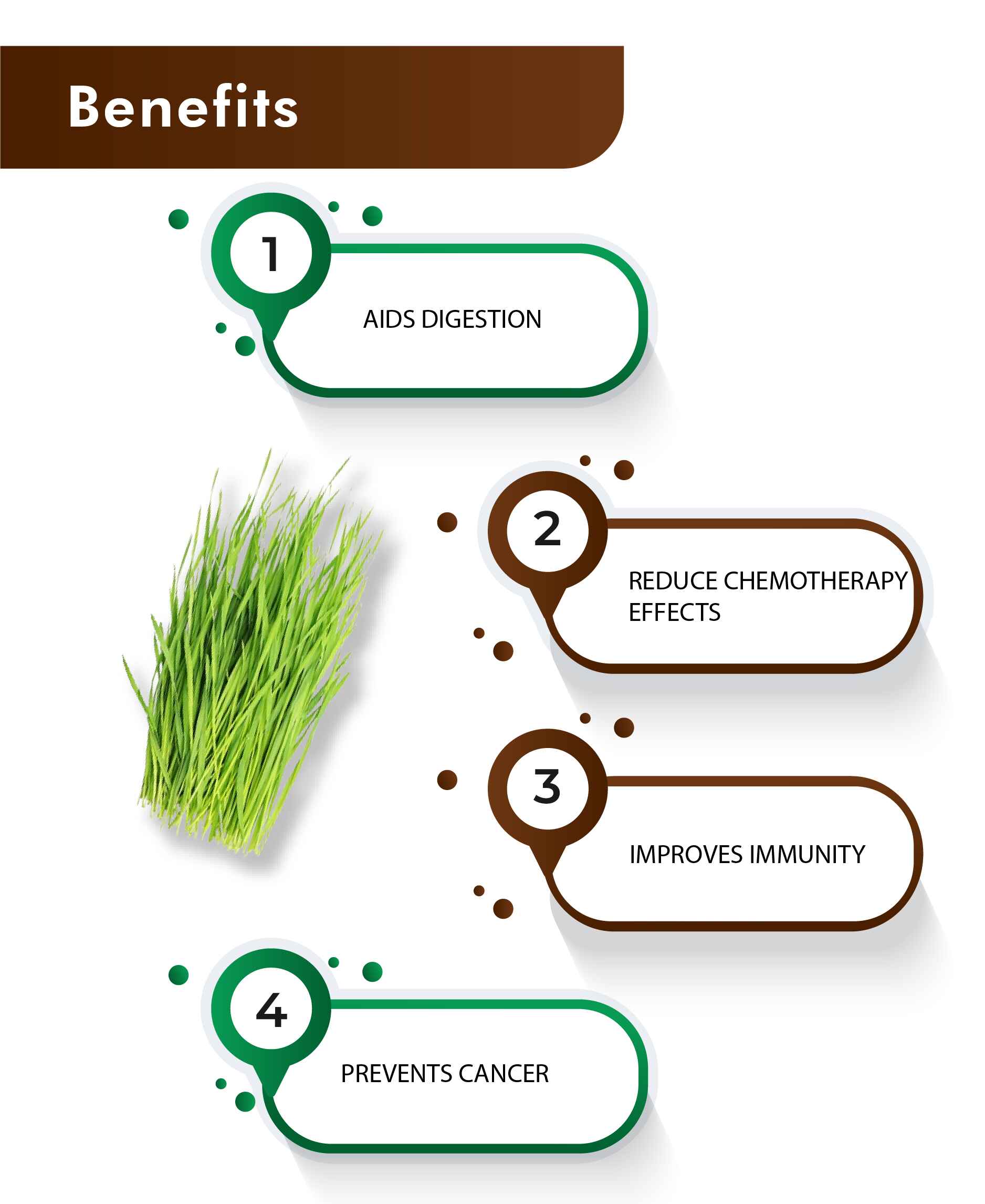 H&C wheatgrass Tablet - 350mg , 60 Count - HNW GLOBAL