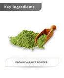 Just Jaivik Organic Alfalfa Powder - 100gm - HNW GLOBAL