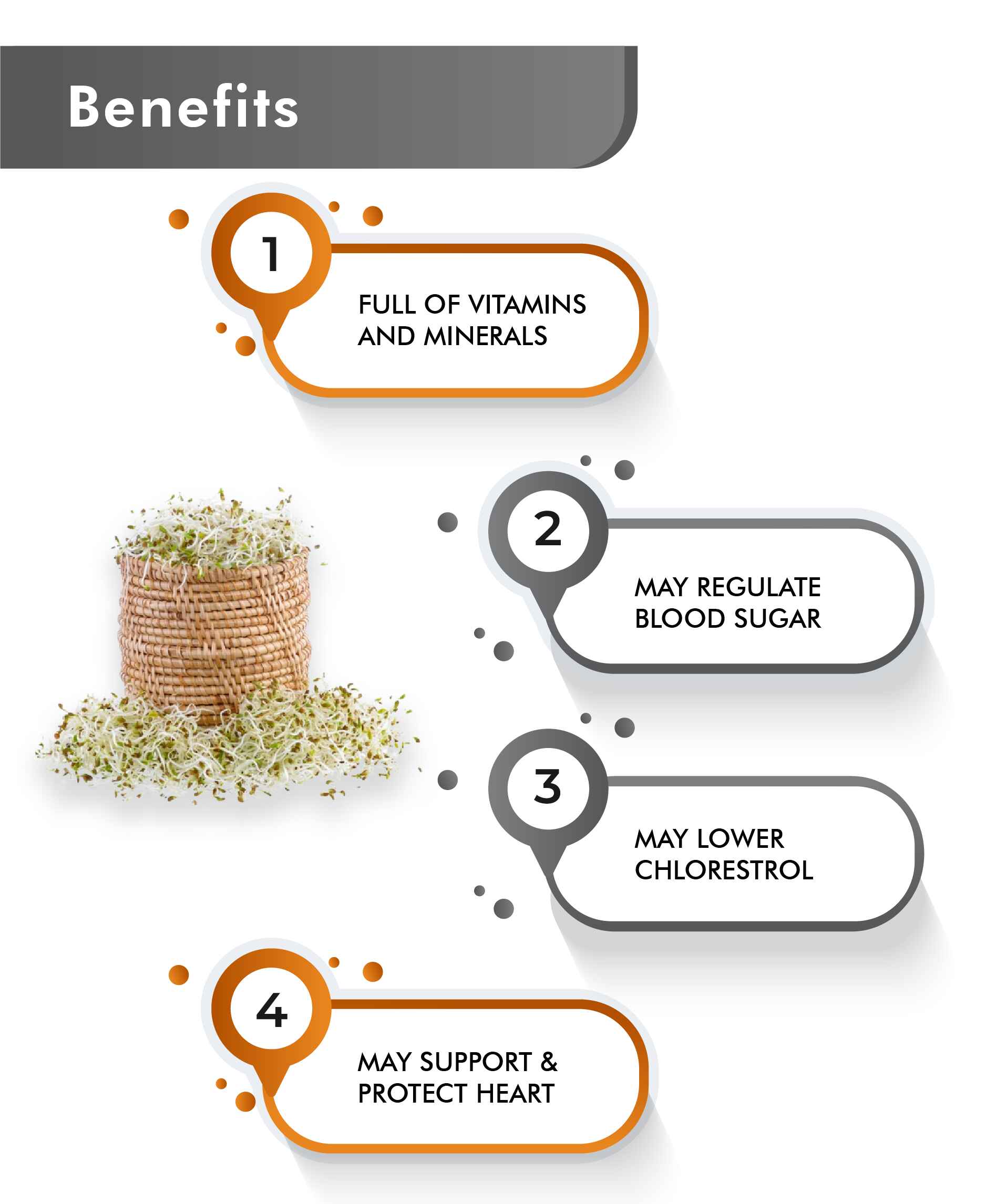 Just Jaivik Organic Alfalfa Powder - 100gm - HNW GLOBAL