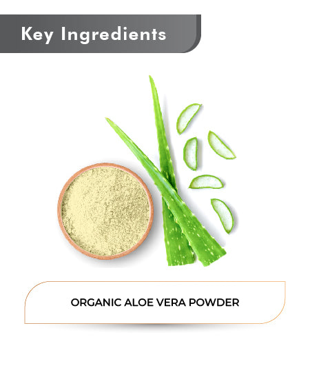 Just Jaivik Organic Aloe Vera Powder - 100gm - HNW GLOBAL