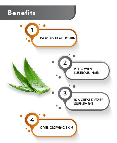 Just Jaivik Organic Aloe Vera Caplet - 750mg, 90 count - HNW GLOBAL
