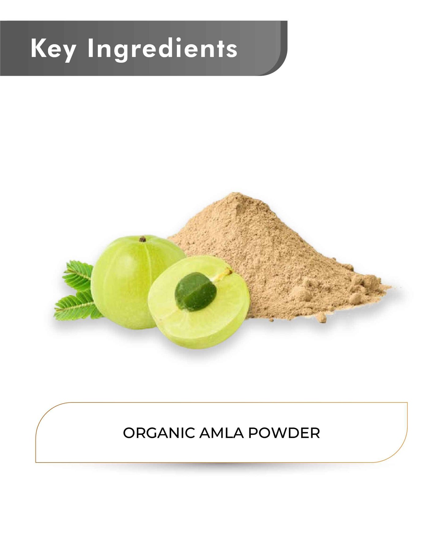 Just Jaivik Organic Amla Powder - 100gm - HNW GLOBAL