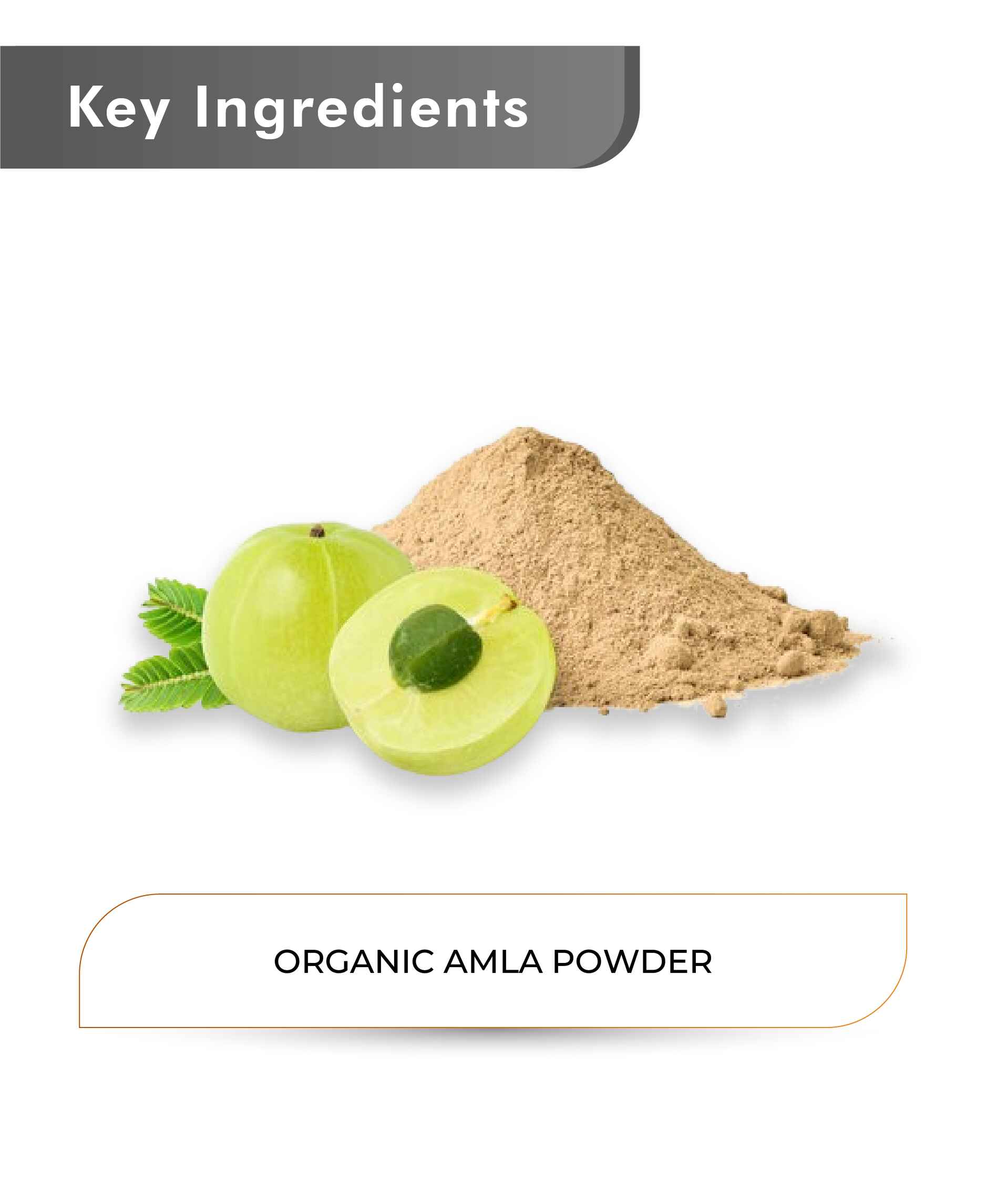 Just Jaivik Organic Amla Powder - 100gm - HNW GLOBAL