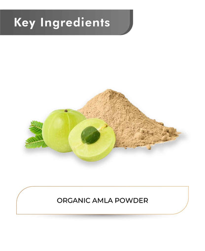 Just Jaivik Organic Amla Powder - 100gm - HNW GLOBAL