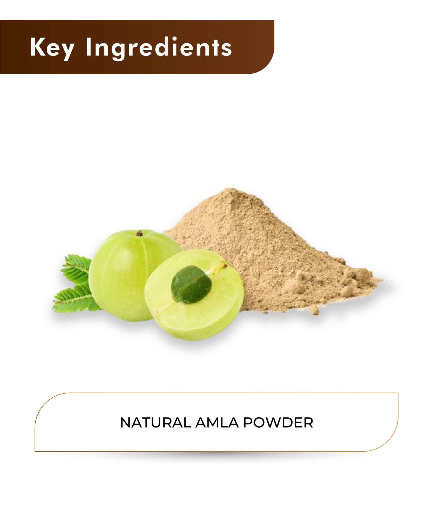 H&C Natural Amla Powder - 100gm - HNW GLOBAL