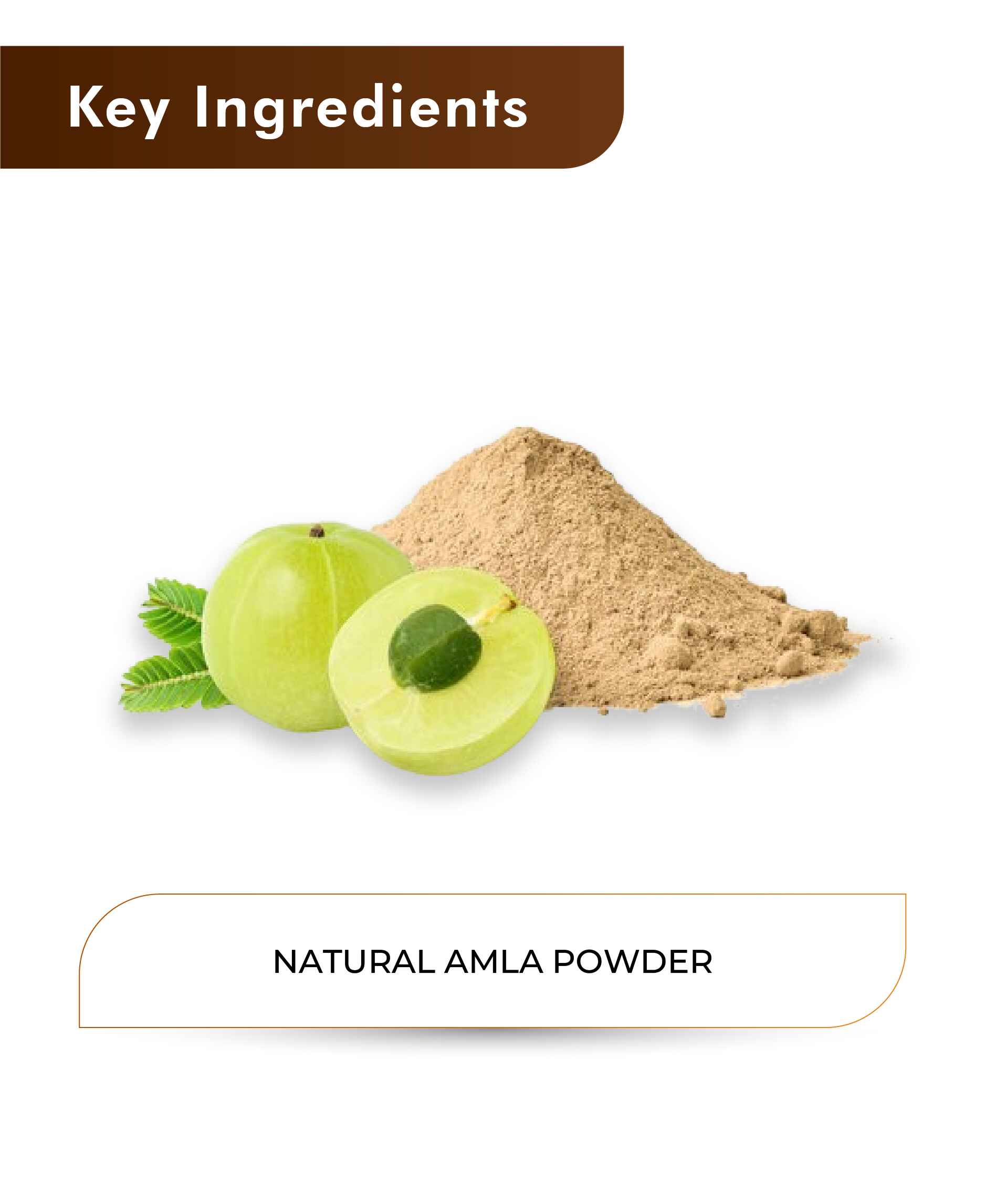 H&C Natural Amla Powder - 100gm - HNW GLOBAL