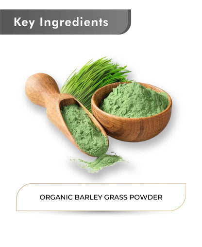 Just Jaivik Organic Barley Grass Powder - 100gm - HNW GLOBAL