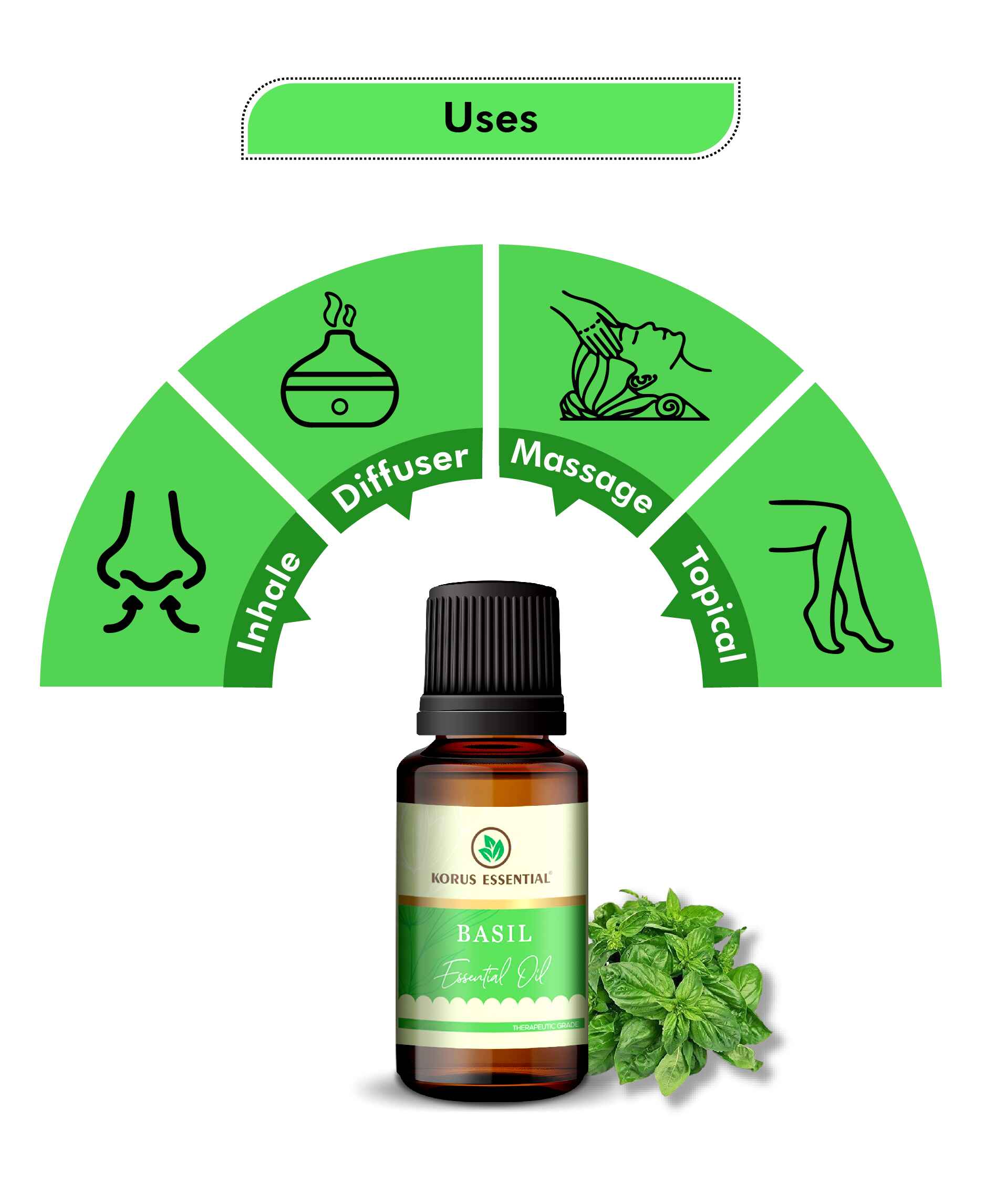 Korus Essential Basil Essential Oil - 15ml - HNW GLOBAL