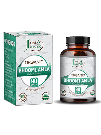 Organic Bhoomi Amla Caplet - 750mg, 90 count