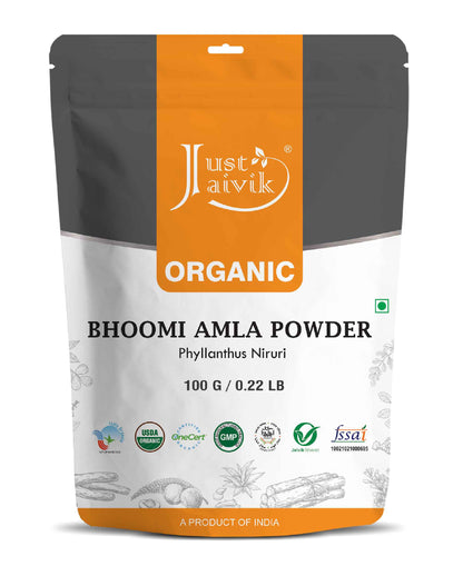 Just Jaivik Organic Bhoomi Amla Powder - 100gm - HNW GLOBAL