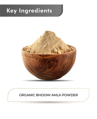Just Jaivik Organic Bhoomi Amla Powder - 100gm - HNW GLOBAL